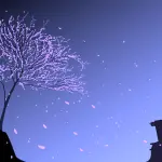 man sits on the rock, look at falling cherry pink leaves and think about sense of human life, zen meditation near the sacura,