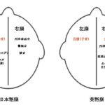 第二言語としての日本語習熟度がホスピタリティレベルに影響する(仮説)